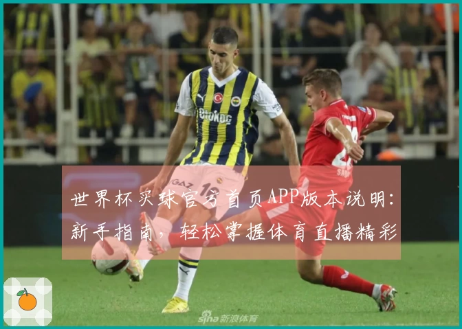 世界杯买球官方首页APP版本说明：新手指南，轻松掌握体育直播精彩瞬间