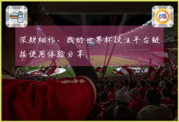 深耕细作,我的世界杯投注平台链接使用体验分享