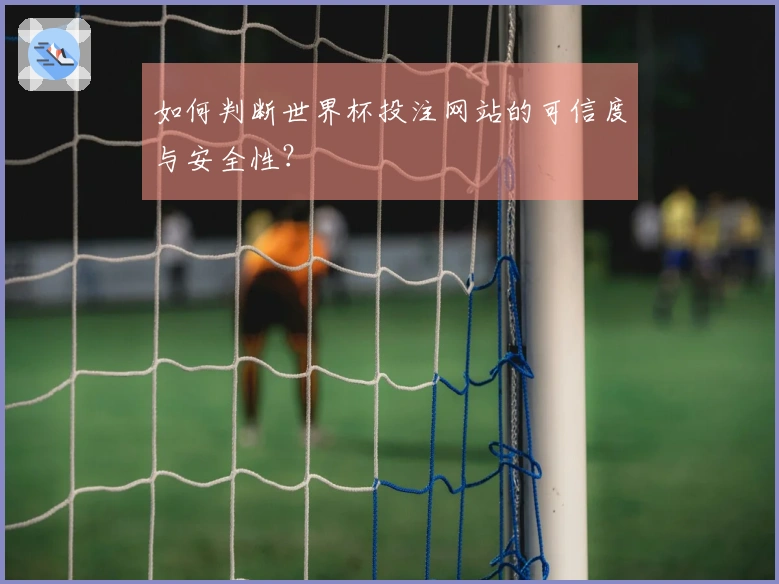 如何判断世界杯投注网站的可信度与安全性?