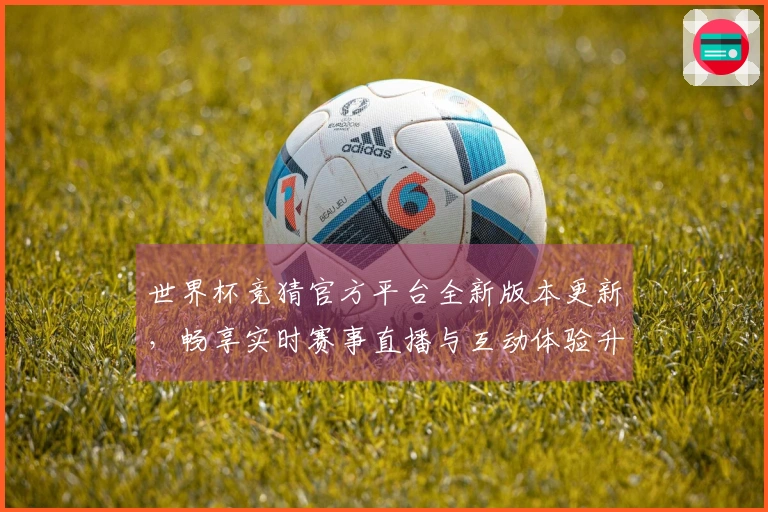 世界杯竞猜官方平台全新版本更新，畅享实时赛事直播与互动体验升级