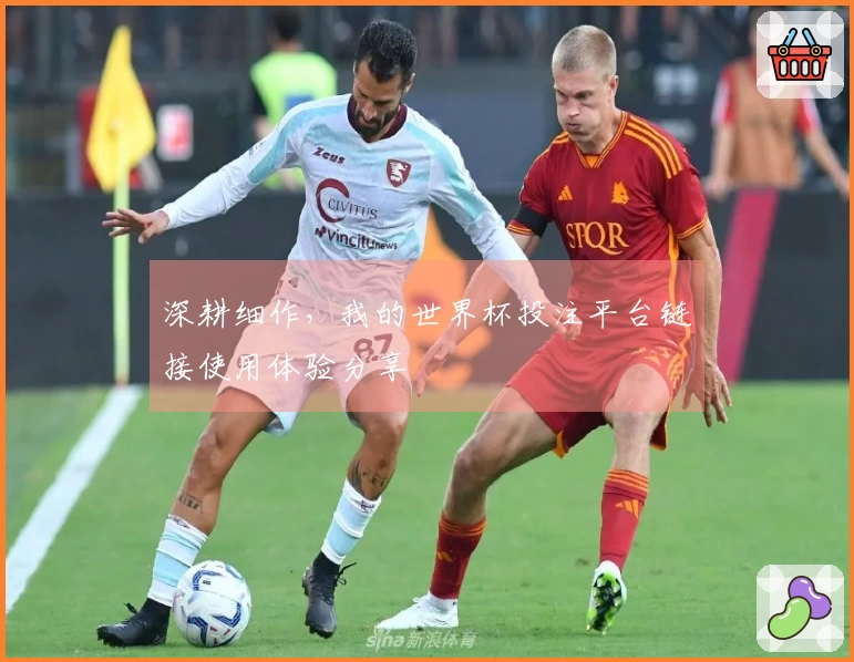 深耕细作，我的世界杯投注平台链接使用体验分享
