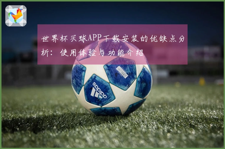 世界杯买球APP下载安装的优缺点分析：使用体验与功能介绍