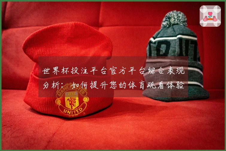 世界杯投注平台官方平台综合表现分析：如何提升您的体育观看体验