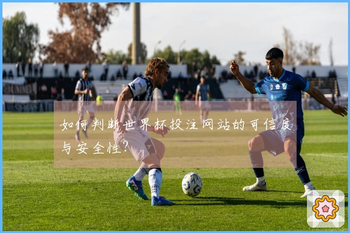 如何判断世界杯投注网站的可信度与安全性？