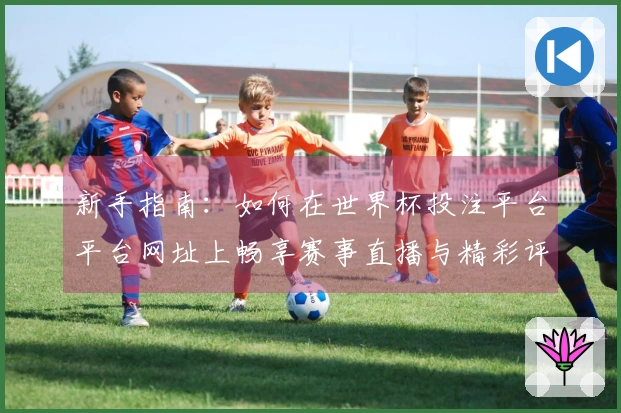 新手指南:如何在世界杯投注平台平台网址上畅享赛事直播与精彩评测
