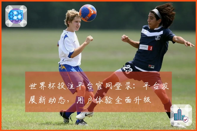 世界杯投注平台官网登录：平台发展新动态，用户体验全面升级