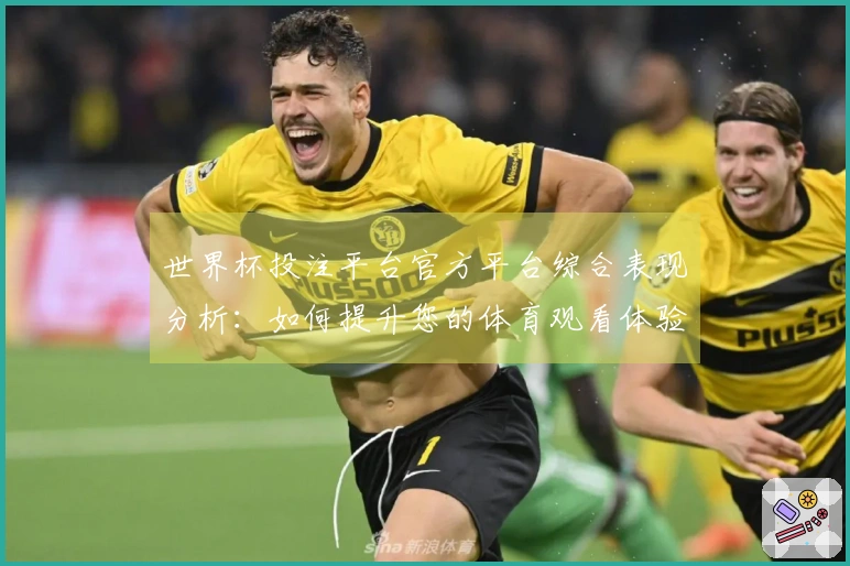 世界杯投注平台官方平台综合表现分析：如何提升您的体育观看体验